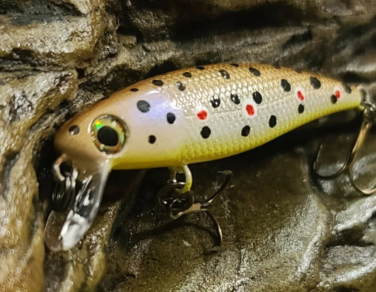 Brown Trout Minnow