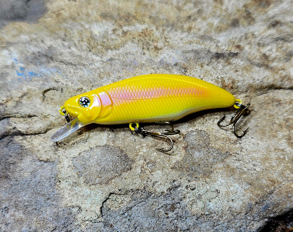 Humpback Pally Minnow