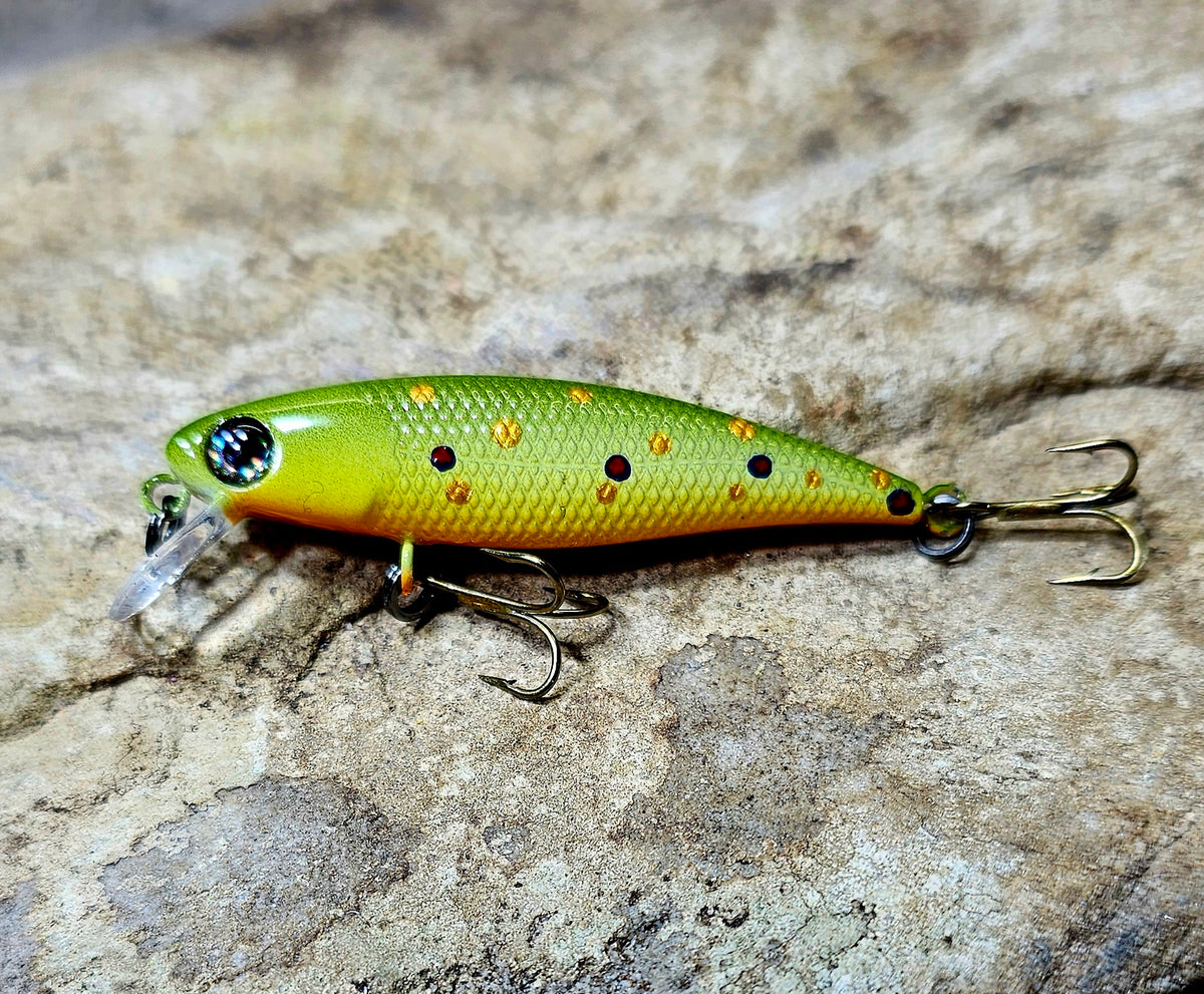 Brook Trout Minnow