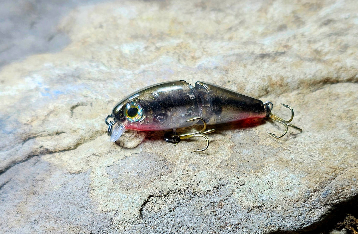 Black Nosed Dace Jointed Minnow